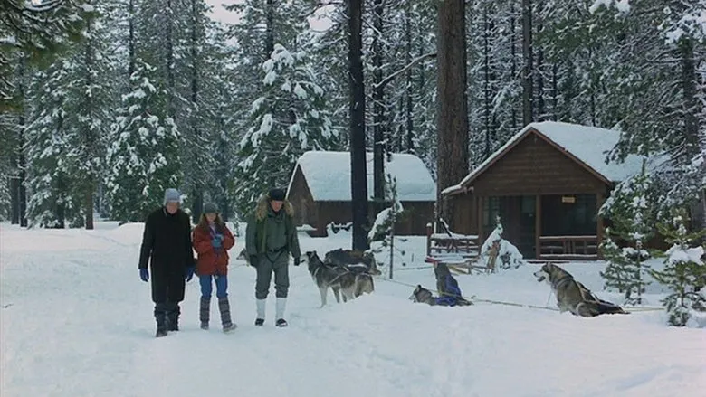 Banner for The Survivors