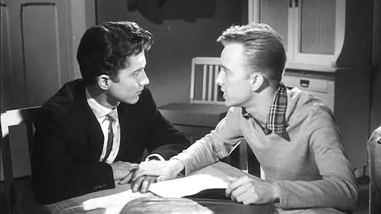 Banner for The Third Sex