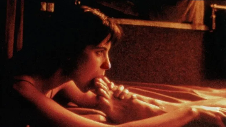 Banner for Meme ve Ay