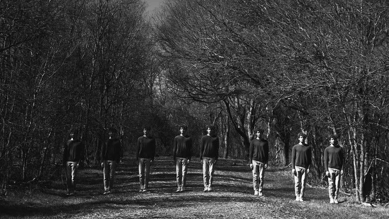 Banner for The Trail