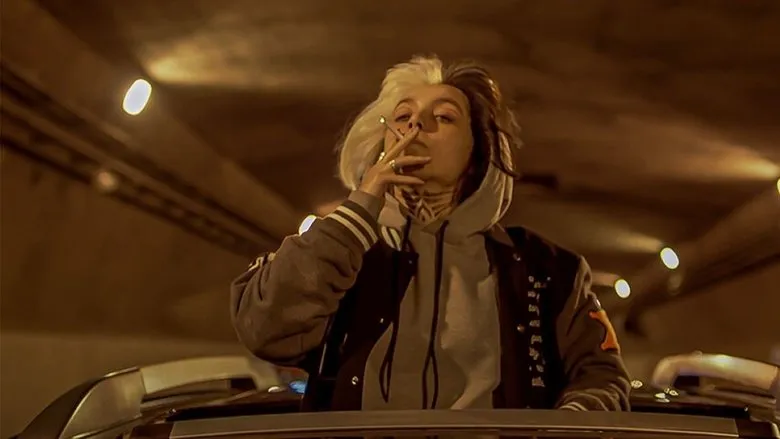 Banner for The Turtle