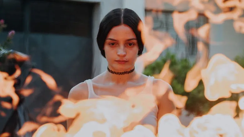 Banner for The Virgin of the Quarry Lake