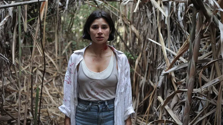 Banner for The Whistler