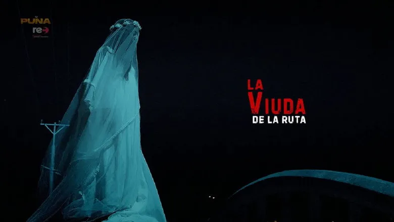 Banner for The Widow of the Road