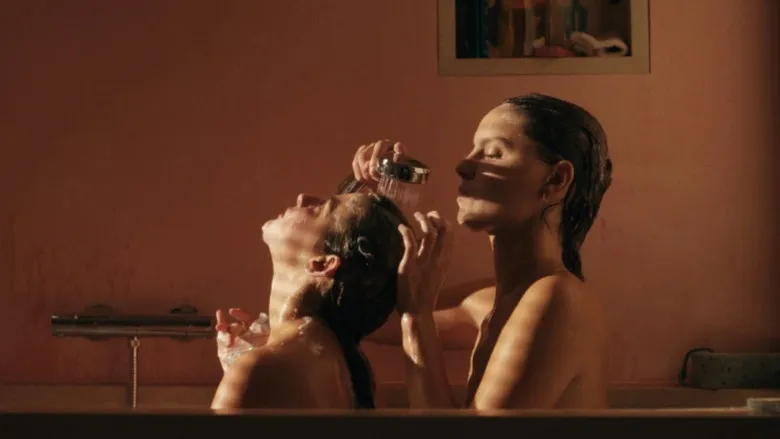 Banner for The Wonderers