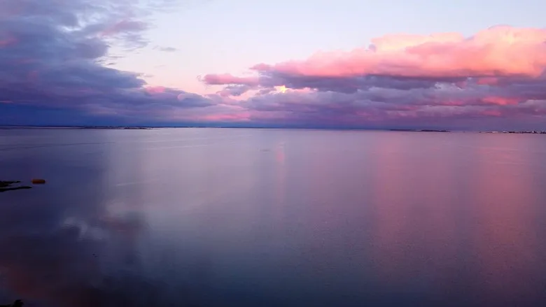 Banner for Tra la Terra ed il Mare