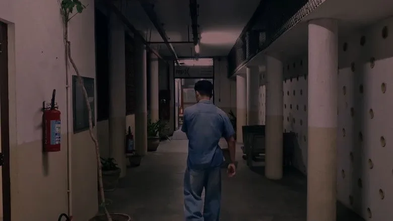 Banner for Transgressão