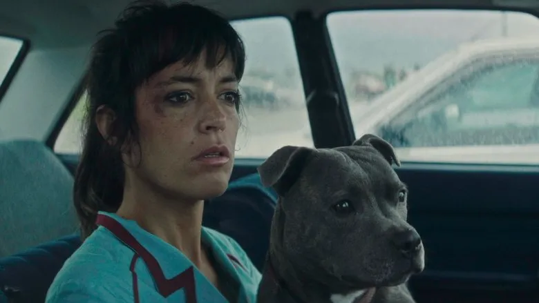 Banner for Vincent Must Die