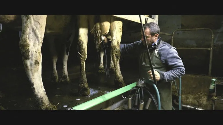 Banner for Violence dans les Champs