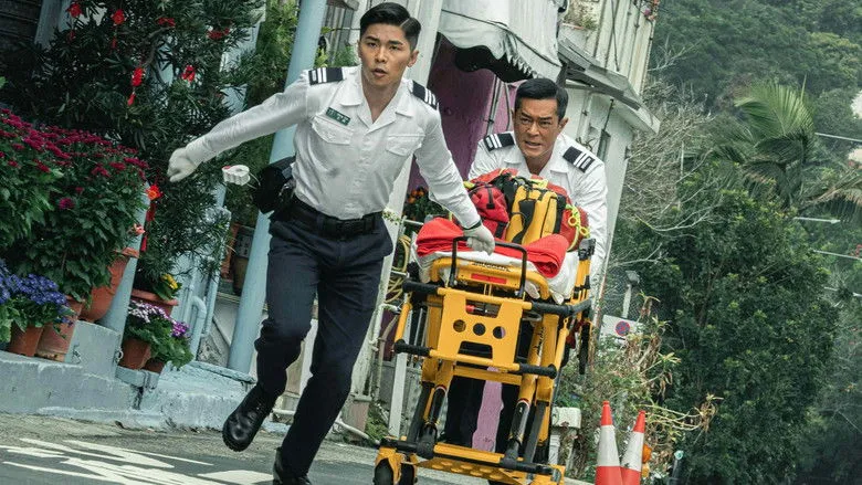 Banner for Vital Signs