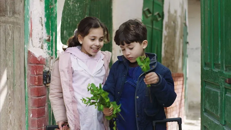 Banner for Water For The Birds