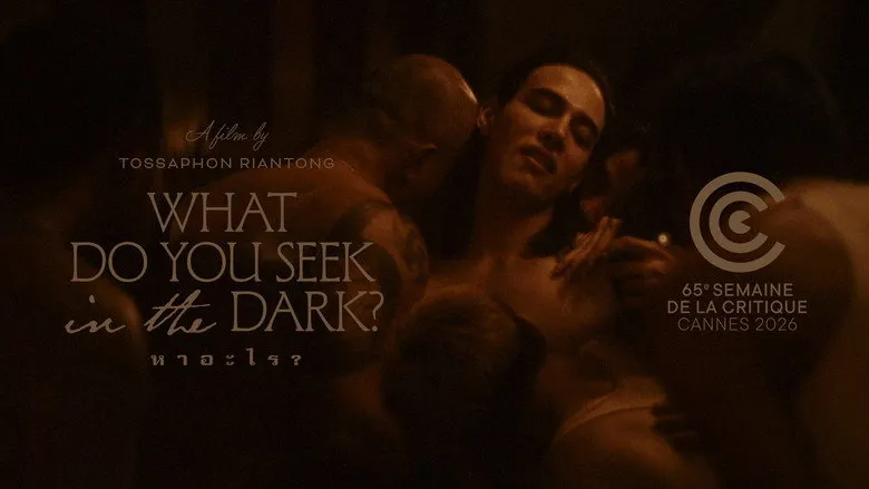 Banner for What Do You Seek in the Dark?