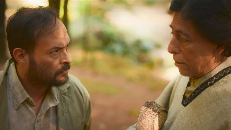 Banner for WHAT HIDES WHITIN THE SHADOWS