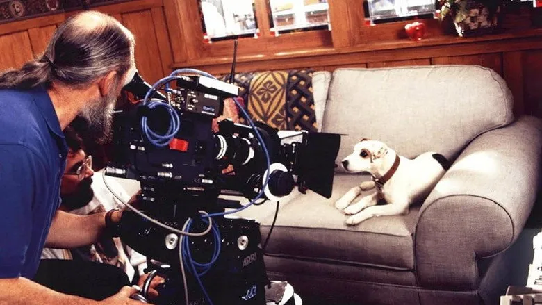 Banner for What's the Story, Wishbone?