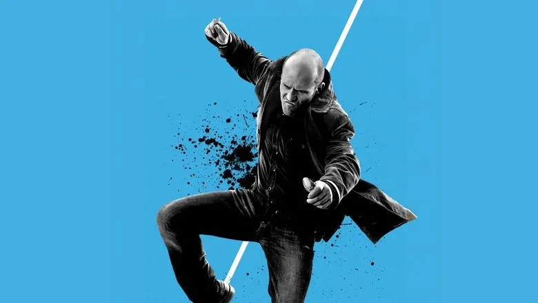 Banner for Wild Card