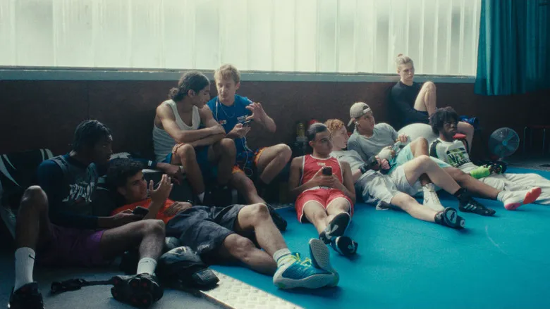 Banner for Wild Foxes