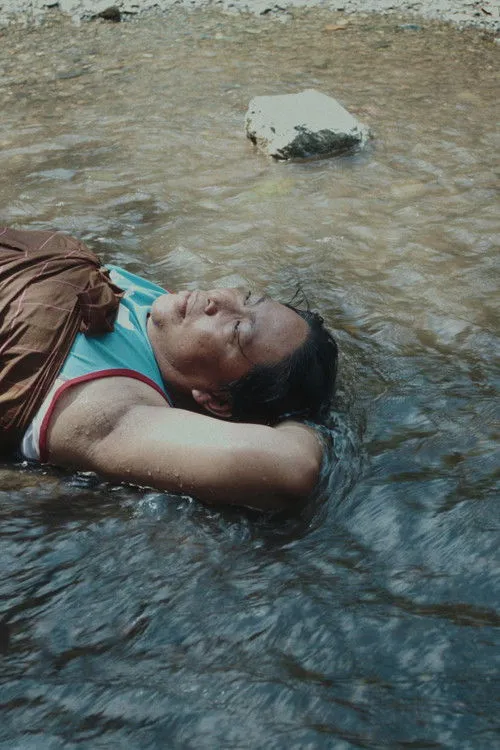 Poster for A Distant Call