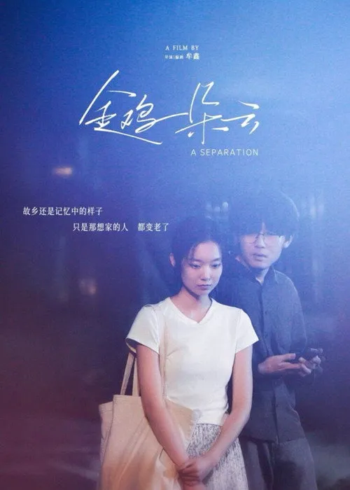 Poster for A Separation