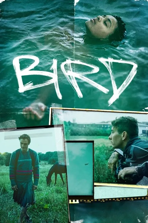 Poster for Bird
