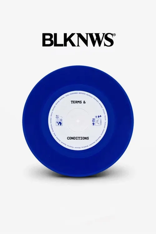 Poster for BLKNWS: Terms & Conditions