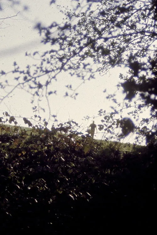 Poster for Body, remember...