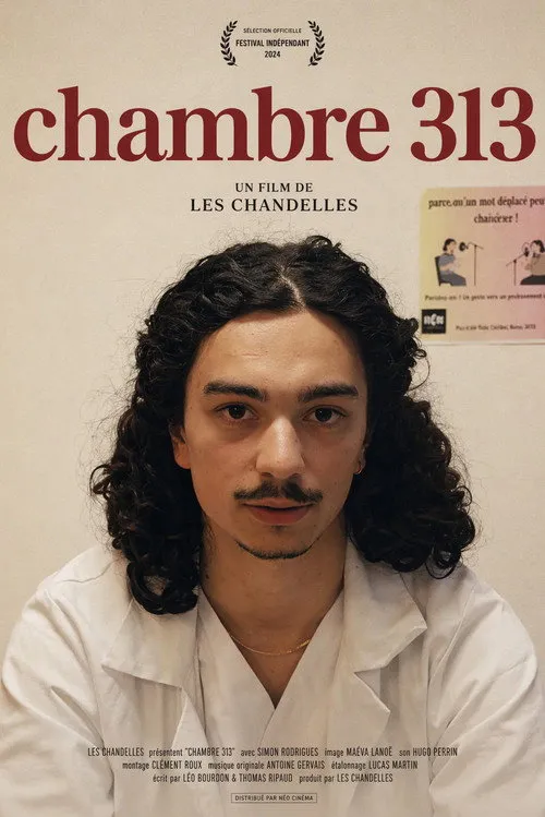 Poster for Chambre 313