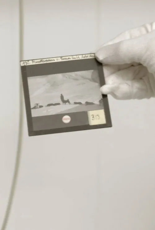 Poster for Dear Future