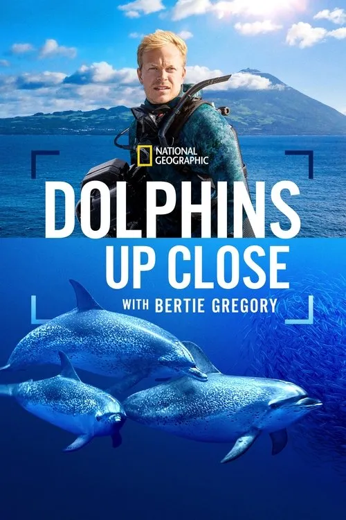 Poster for Dolphins Up Close with Bertie Gregory