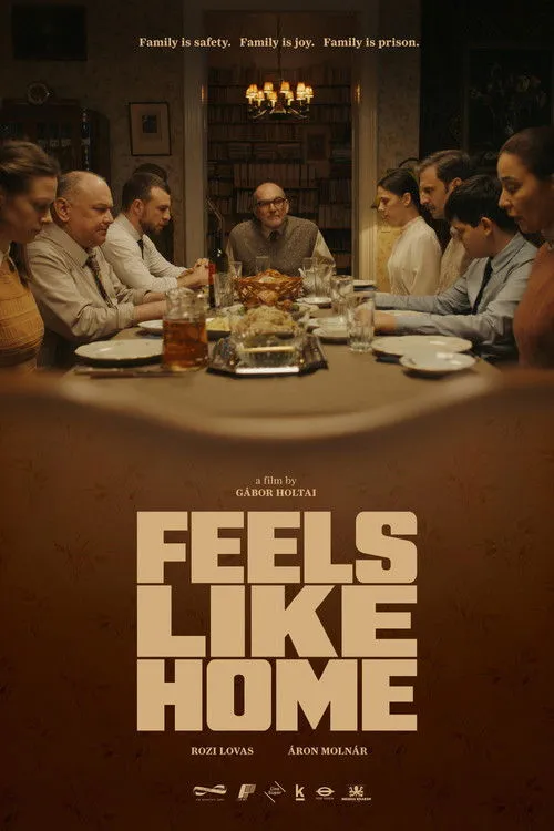 Poster for Feels Like Home