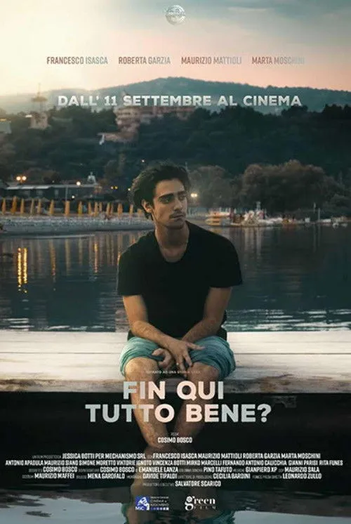 Poster for Fin qui tutto bene?