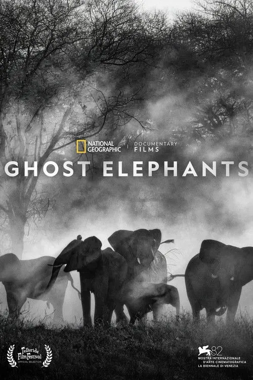 Poster for Ghost Elephants