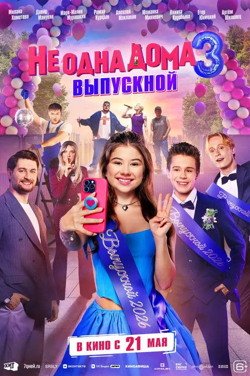 Poster for Home Not Alone 3