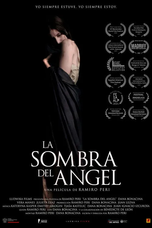 Poster for La sombra del ángel