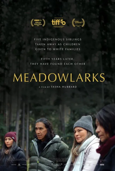 Poster for Meadowlarks