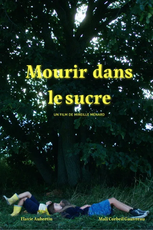 Poster for Mourir dans le sucre