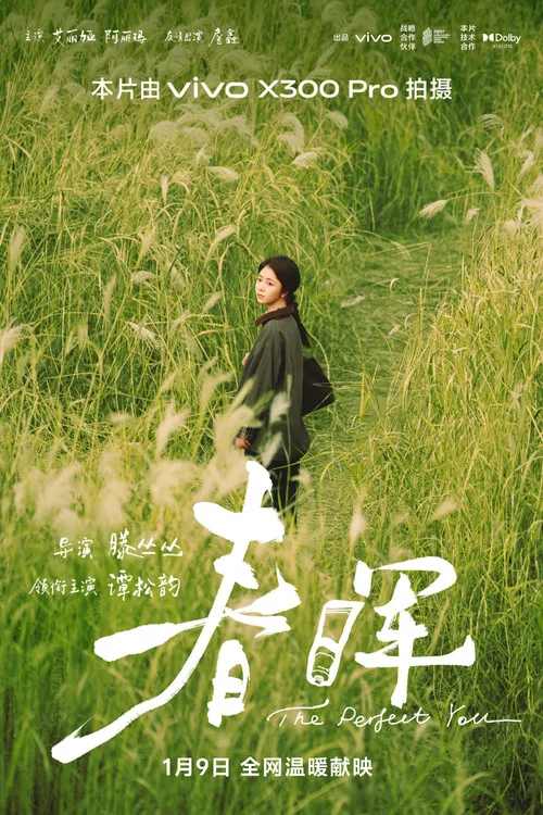 Poster for 春晖