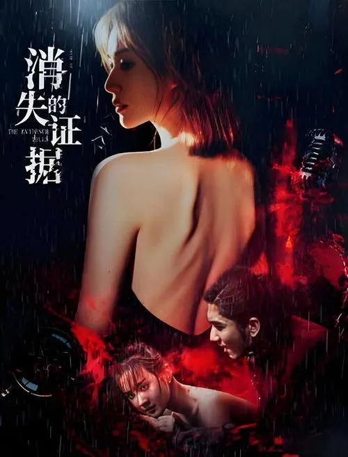 Poster for 消失的证据