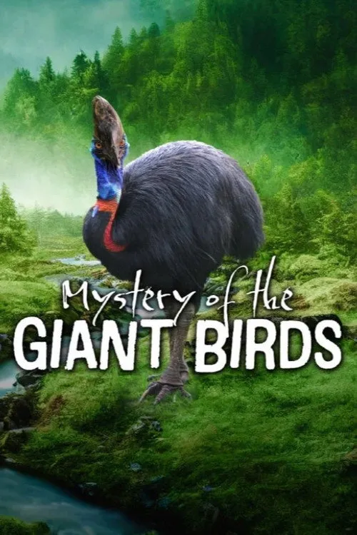 Poster for Mystery of the Giant Birds