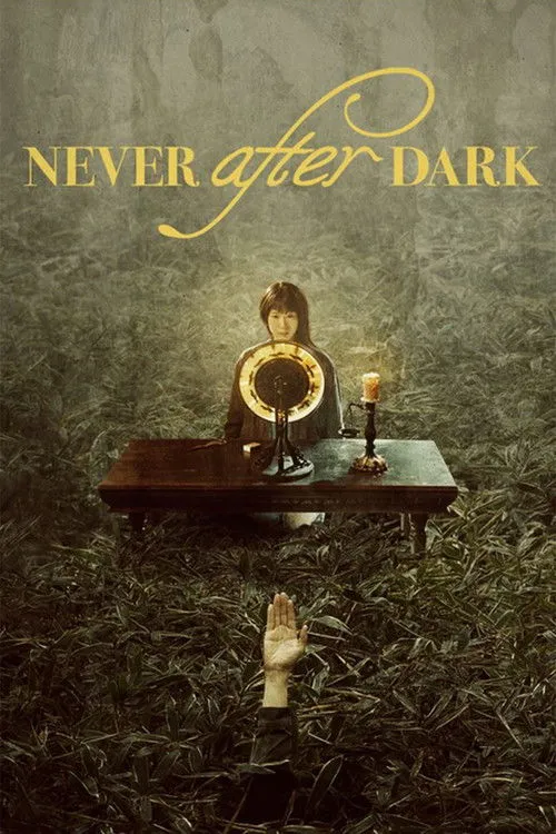 Poster for Never After Dark