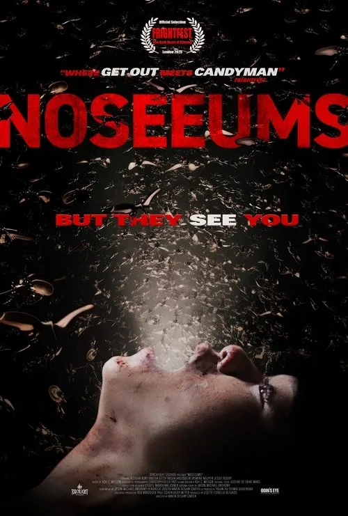 Poster for Noseeums