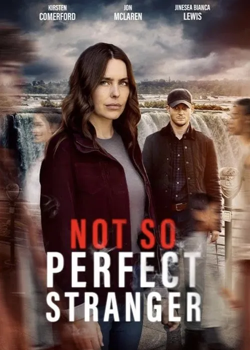 Poster for Not So Perfect Stranger