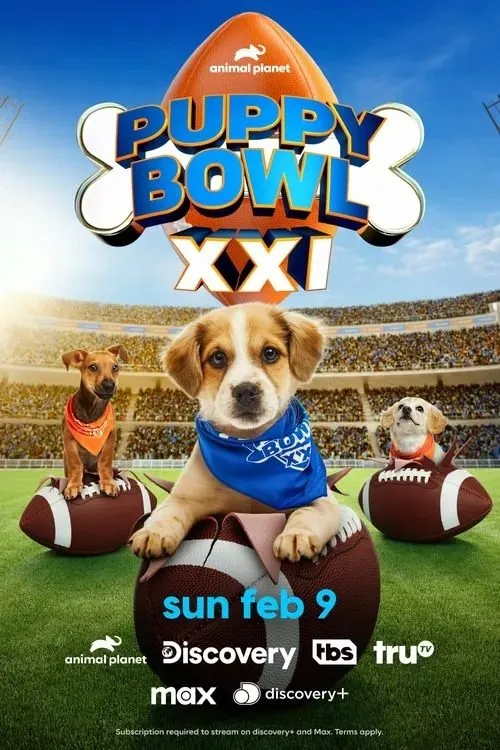 Poster for Puppy Bowl XXI