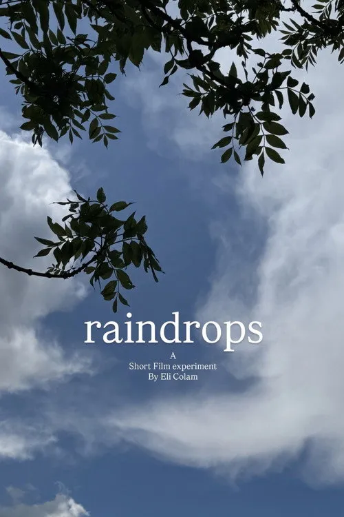 Poster for raindrops