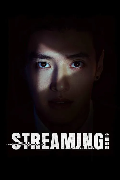 Poster for Streaming