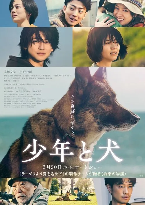 Poster for The Boy and the Dog