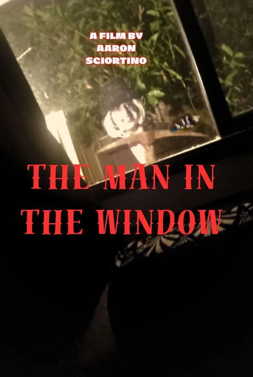 Poster for The man in the window