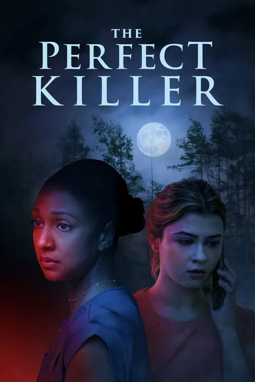 Poster for The Perfect Killer