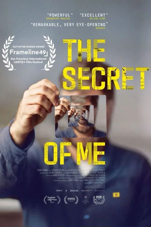 Poster for The Secret of Me