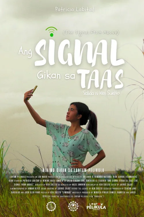 Poster for The Signal From Above