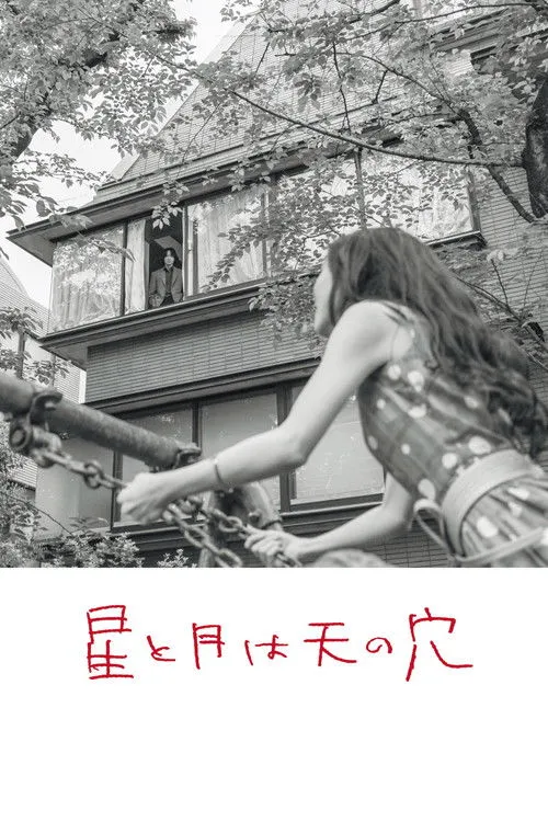 Poster for The Stars and the Moon are Holes in the Sky